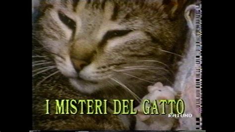 Il Mondo Di Quark I Misteri Del Gatto Novembre Youtube