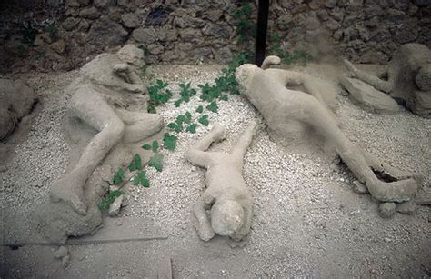 Plaster Cast of Victims, Pompeii | Pompeii, Pompeii and herculaneum ...