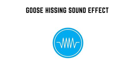 Goose Hissing Sound Effect Youtube