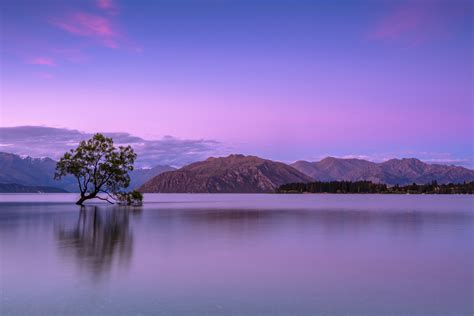 Purple Sky Mountains 5k, HD Nature, 4k Wallpapers, Images, Backgrounds, Photos and Pictures