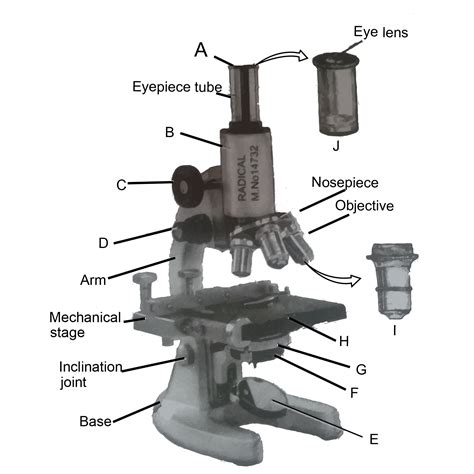 Nose piece of a microscope is