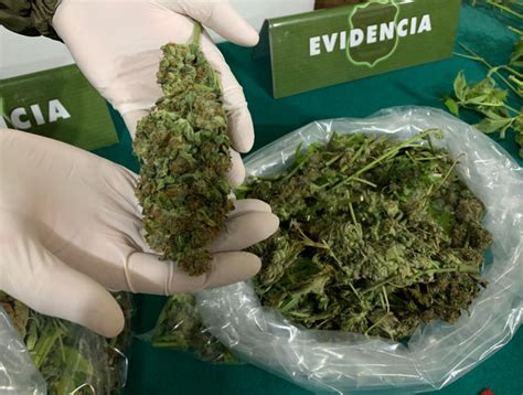 Decomisaron M S De Mil Dosis De Drogas En Concepci N