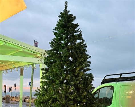 Marina di Pisa avrà il suo albero di Natale domenica l accensione