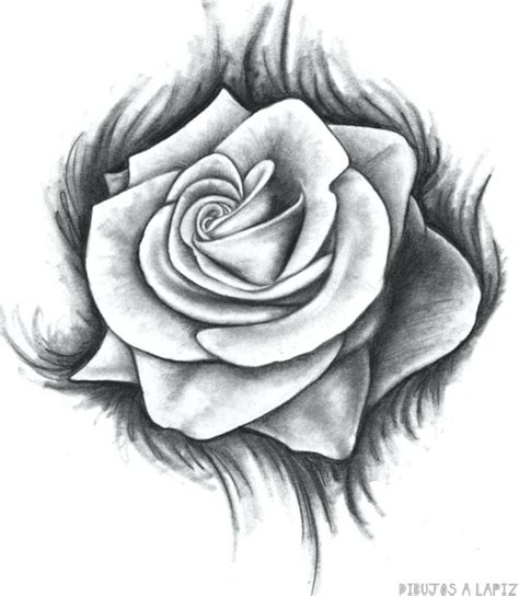 Cómo Dibujar Una Rosa Rosas Para Dibujar A Lápiz Roses Drawing Rose Drawing Rose Drawing