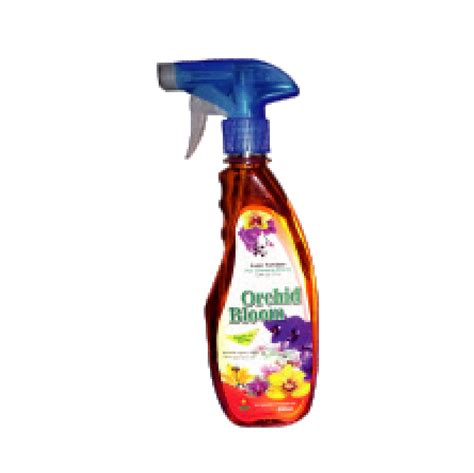 Orchid Bloom – SIF