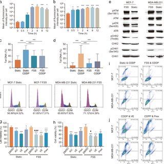 Scrnaseq Of Breast Ctcs A An Overview Of The Workflow For Single