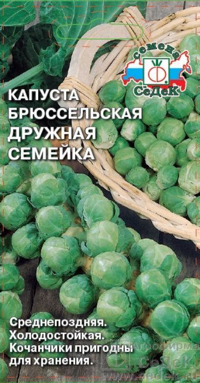 Золотая сотка алтая