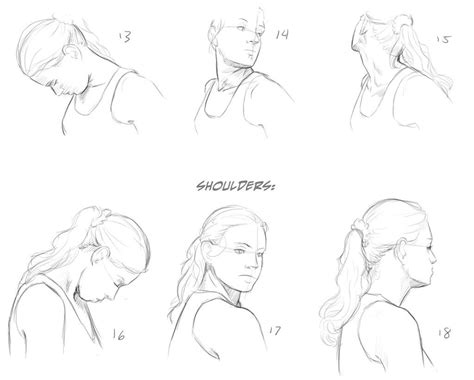 Neck/Shoulder Reference 3 | Drawings, Character design references, Drawing reference