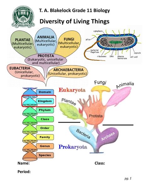 Diversity Of Living Things Handout T A Blakelock Grade Biology