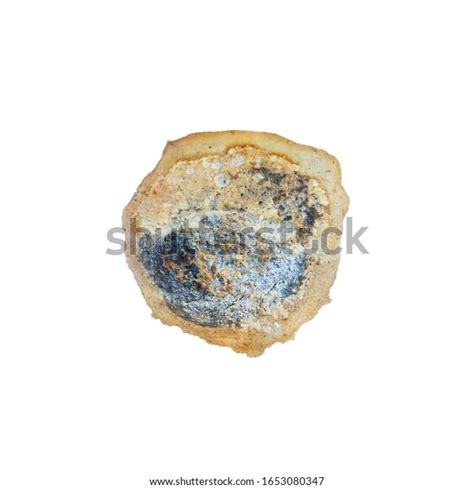 Feces Birds That Have Been Rotten Stock Photo 1653080347 Shutterstock