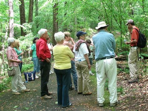 Fernbank Forest - Alchetron, The Free Social Encyclopedia