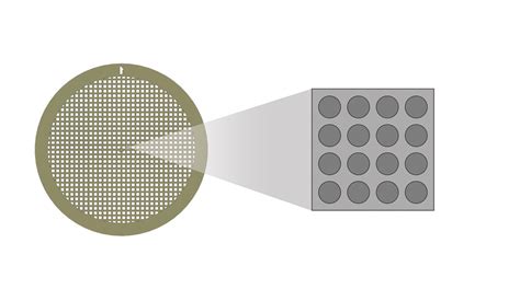 C Flat™ Holey Carbon Grids For Cryo Tem Gold Only