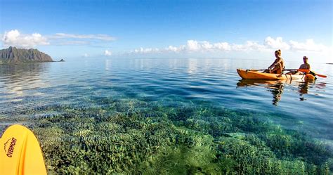 Kaneohe Bay Sandbar kayak rental - Gallery