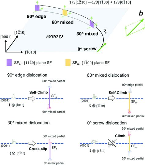 Schematic Illustrations Showing Dissociated Structures Of A Basal