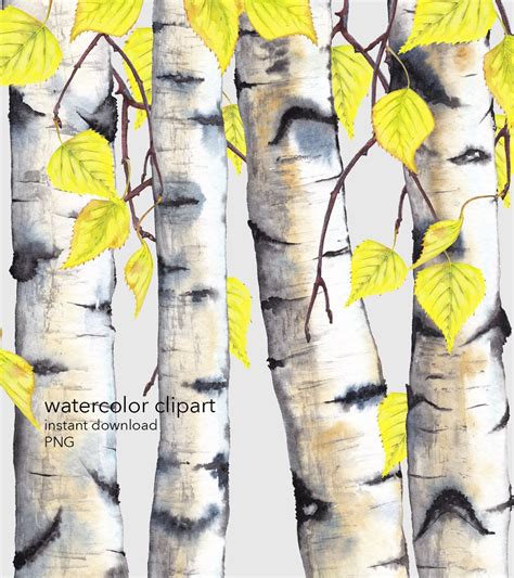 Birch Trees Clipart Woodland Watercolor Seasonal Grove Trunk Etsy