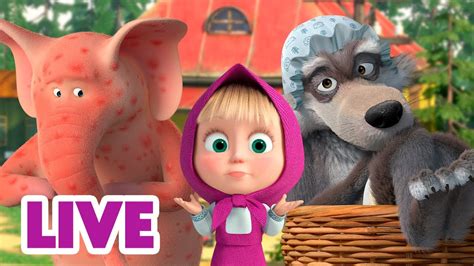 🔴 Ao Vivo 👱♀️🐻 Masha E O Urso 👧 Garota Na Floresta 🏞️ Masha And The Bear Youtube