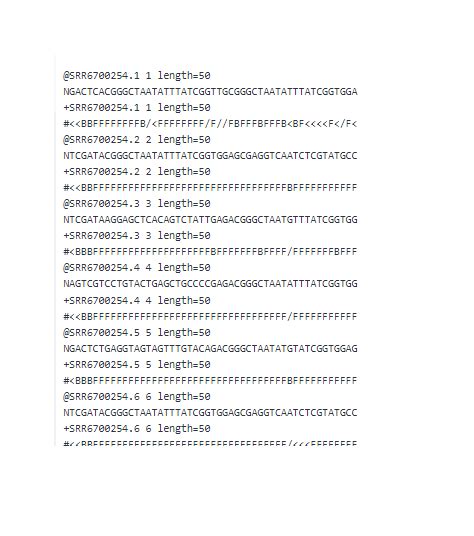 Human Dna Sequence Example