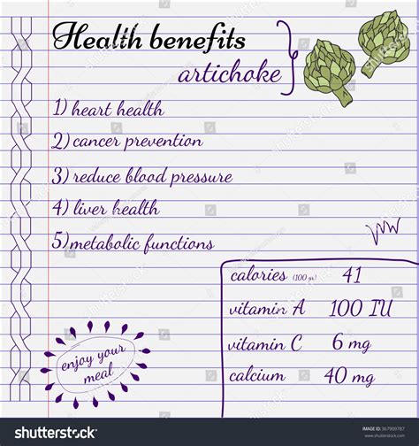 Health Benefits Artichoke Nutrition Facts Infographics เวกเตอร์สต็อก