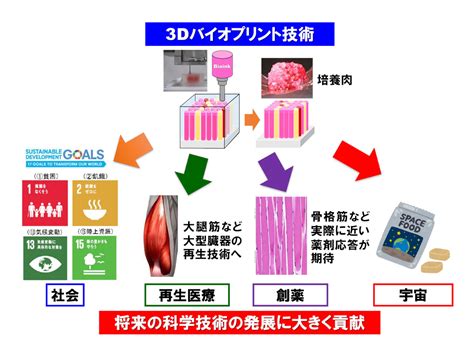 サシの入った和牛肉など培養肉の「3dバイオプリント技術の社会実装」に向け大阪大学・島津製作所・シグマクシスが提携 Techcrunch