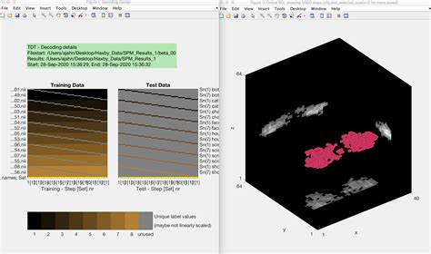 Introduction To Multi Voxel Pattern Analysis With The Decoding Toolbox