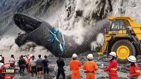 Ular Raksasa Titanoboa Sepanjang 15 Meter Berhasil Ditemukan Di Tambang