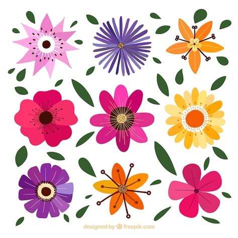 Flores Decorativas Con Diferentes Dise Os Vector Premium