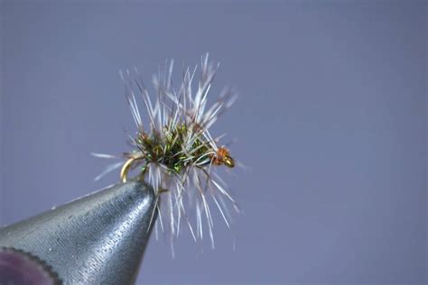 Best Winter Trout Flies Fly Selection Guide