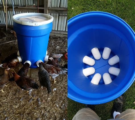 DIY 5 Gallon Bucket Feeder For Chickens