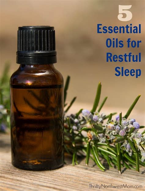 Essential Oils for Sleep - The 5 Best Essential Oil Choices for Restful ...