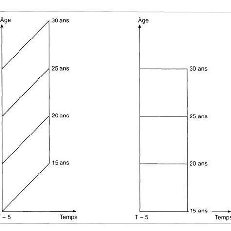 Diagramme De Lexis Comparant Deux Approches Pour Le Calcul Des Taux De