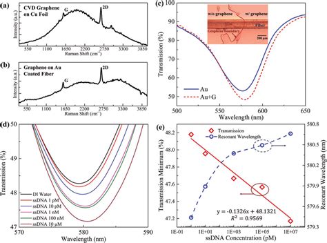 A Raman Spectrum Of Monolayer Cvd Grown Graphene On Copper Foil B Download Scientific