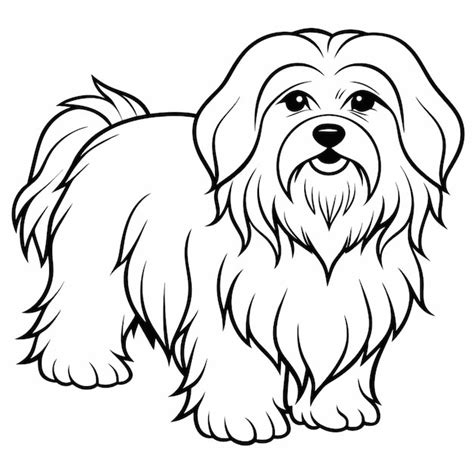 Lhasa Apso Vector Illustration Line Art Premium Ai Generated Vector