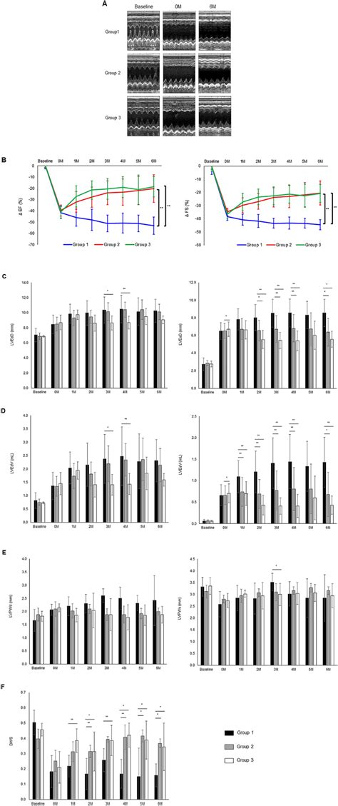 Evaluation Of Cardiac Function Following Hipsc Cm Patch Transplantation