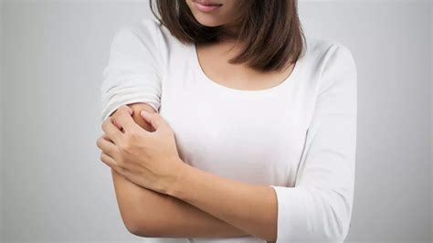 science recommends   mosquitoes  itigic