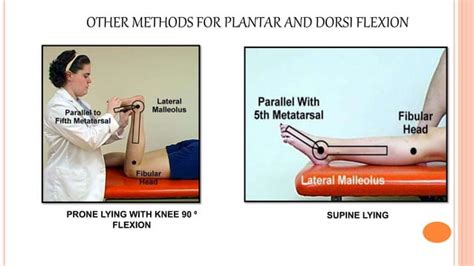 Goniometry Lower Limb Ppt