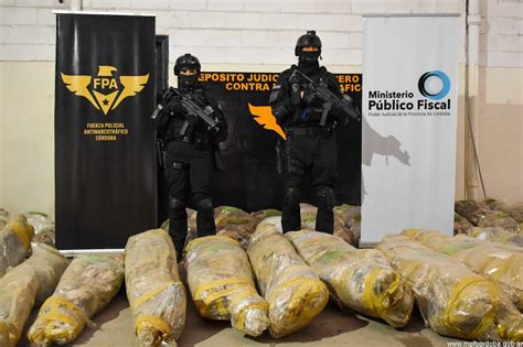 Incineraron M S De Mil Plantas De Marihuana Secuestradas En C Rdoba