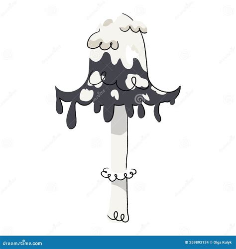 Shaggy Mane Mushroom Hand Draw Vector Cartoondealer