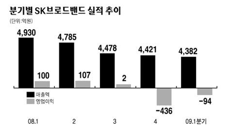 Sk브로드밴드 경영 정상화 날개 활짝 서울경제