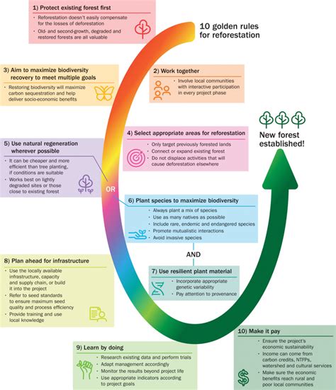 Ten Golden Rules For Reforestation To Optimize Carbon Sequestration