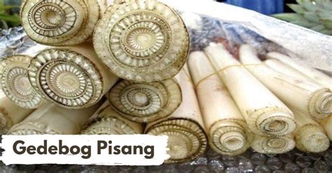 Gedebog Pisang Manfaat Luar Biasa Untuk Kesehatan