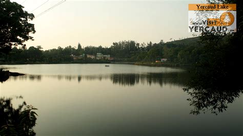 Yercaud Lake - The best spot to spend your time with family and friends