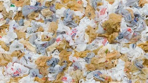 Petition · Ban Plastic Bags In Houston United States ·