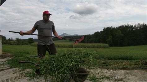 Preparations For Corn Silage YouTube