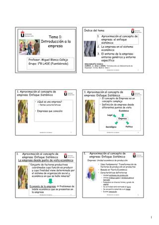 Introducción a la empresA PDF