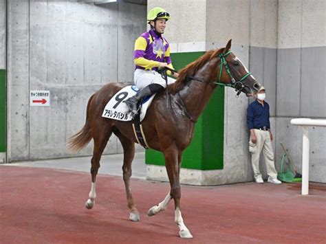 【2歳未勝利新潟2rレース後コメント】アラレタバシル野中悠太郎騎手ら 競馬ニュース