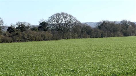 Land For Events Sheepcote Farm