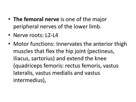 SOLUTION: Anatomy of femoral nerve presentation - Studypool