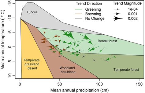 Temperate Grassland Climate Graph