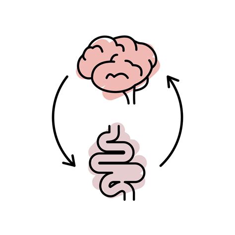 Gut Brain Axis Brain And Stomach Line Icon Brain Gut Connection