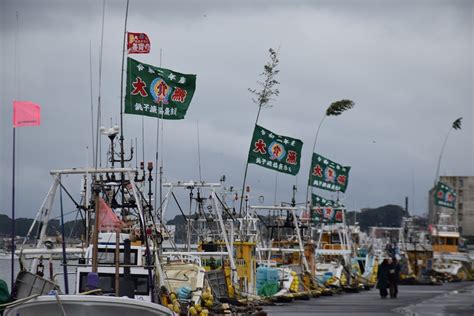 銚子漁港、水揚げ量10年連続日本一を達成 千葉日報オンライン